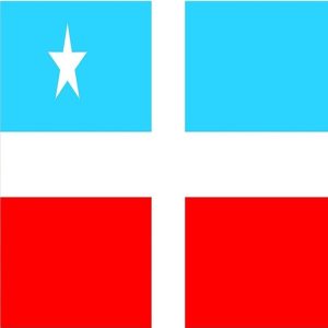 bandera lares 2