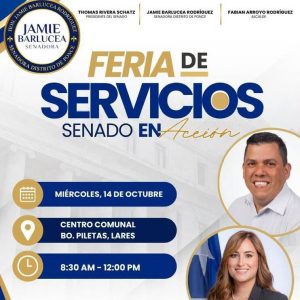 feriaservicios