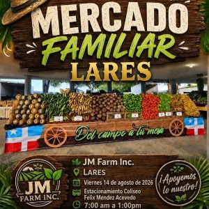 mercado0826