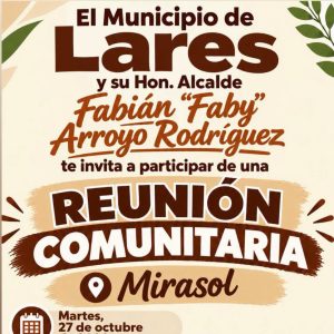 reunioncomunitariamirasol