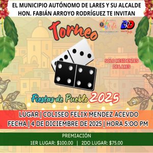 torneodomino12252